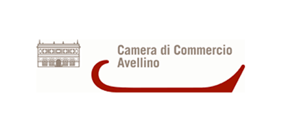 camera_commercio_av